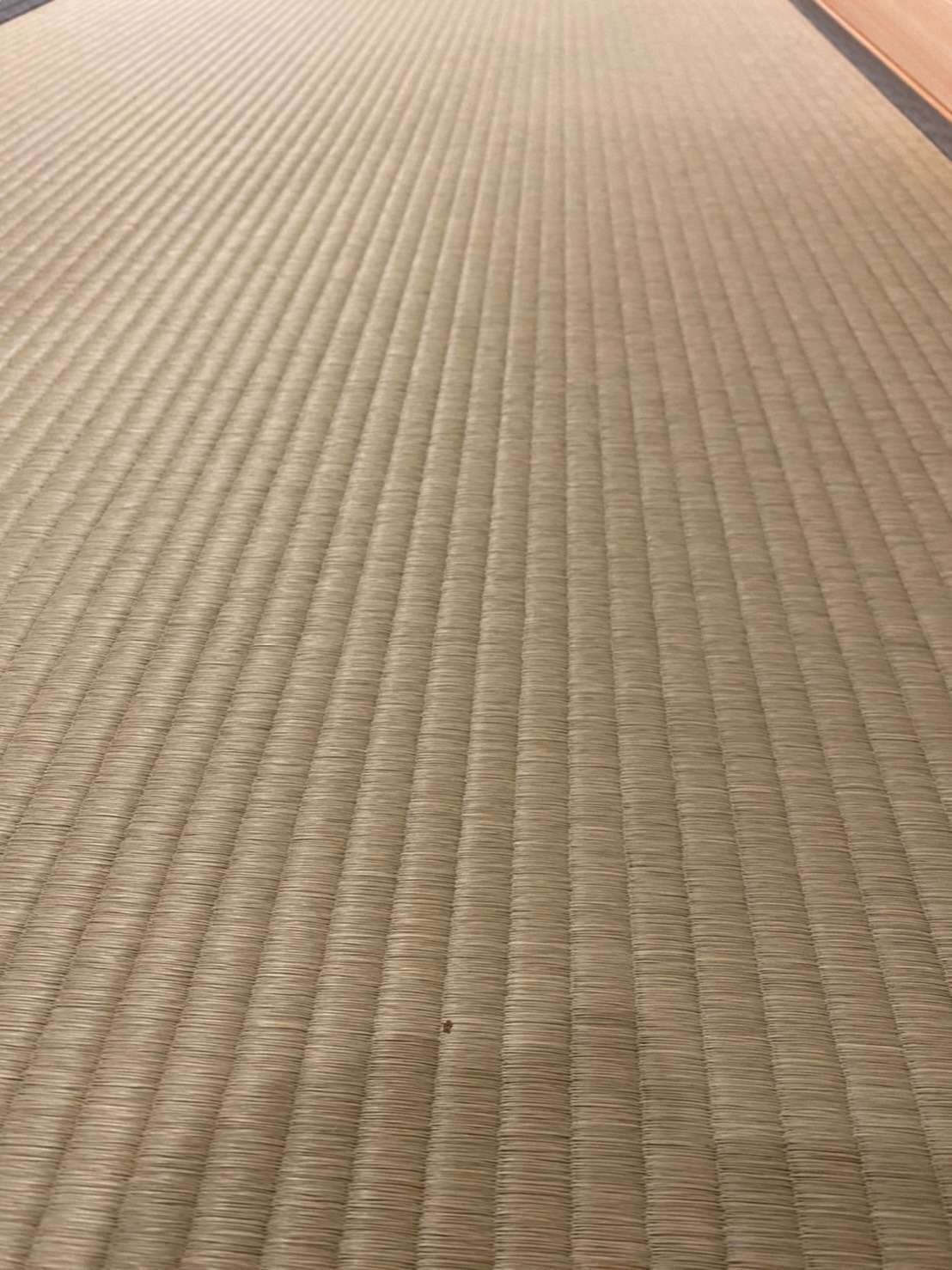 藤井家菩提寺に畳を納めました